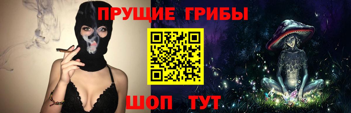 Галлюциногенные грибы прущие грибы  Вход с VPN  Железноводск 